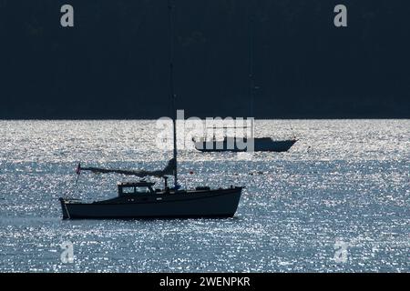 Günstig Segelboot Silhouette, Mystery Bay State Park, Washington Stockfoto