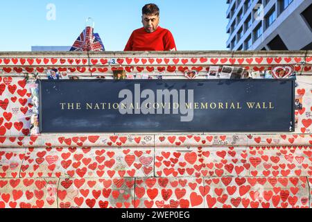 London, Großbritannien. Januar 2024. Die Gedenktafel. Freiwillige der National COVID Memorial Wall bewahren einige der über 200 Herzen, die jeweils für jemanden stehen, der an COVID gestorben ist. Die Freiwilligen, auch aus Hinterbliebenen, malen die roten Herzen sorgfältig neu und verfolgen dann die Botschaften auf ihnen. Sie kämpfen derzeit auch für die Erhaltung der Mauer als Gedenkstätte und fordern die Regierung auf, den Empfehlungen der britischen COVID-Gedenkkommission unter Vorsitz von Baroness Morgan nachzukommen. Quelle: Imageplotter/Alamy Live News Stockfoto