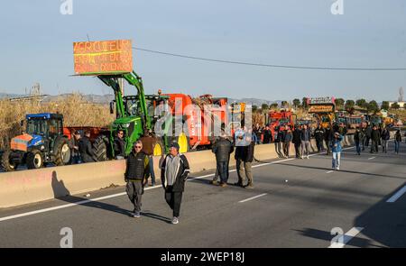 Perpignan, Frankreich. Januar 2024. © PHOTOPQR/L'INDEPENDENT/MICHEL CLEMENTZ ; PERPIGNAN ; 26/01/2024 ; SOCIAL/MANIFESTATION DES AGRICULTEURS EN COLERE/BLOCAGE DU ROND POINT DU PEAGE SUD DE PERPIGNAN - französischer Bauernprotest Fortsetzung Frankreich 26. Januar 2024 Credit: MAXPPP/Alamy Live News Stockfoto