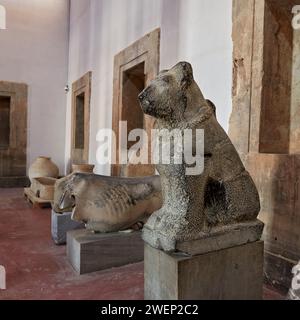 Antike Steinstatue eines Hundes in Persepolis gefunden und im Persepolis Museum ausgestellt. Persepolis, Provinz Fars, Iran. Stockfoto