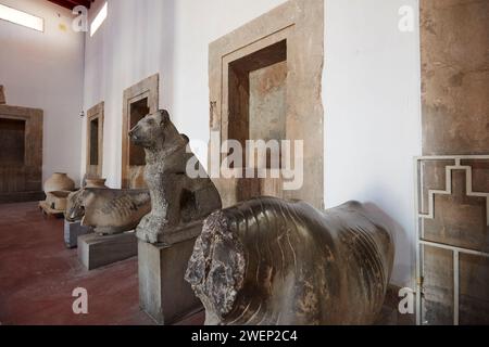 Alte Steinstatuen, die in Persepolis gefunden und im Persepolis Museum ausgestellt wurden. Persepolis, Provinz Fars, Iran. Stockfoto