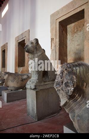 Antike Steinstatue eines Hundes in Persepolis gefunden und im Persepolis Museum ausgestellt. Persepolis, Provinz Fars, Iran. Stockfoto