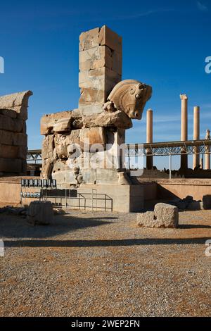 Großer Steinbulle am nordwestlichen Tor der Hundertsäule Halle in Persepolis, Zeremonialhauptstadt des Achämenidenreiches (550–330 v. Chr.), Iran. Stockfoto