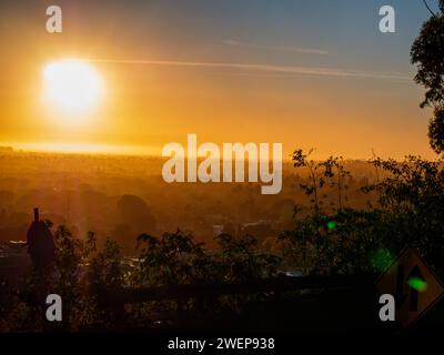 Blick Auf Den Culver City Park Stockfoto