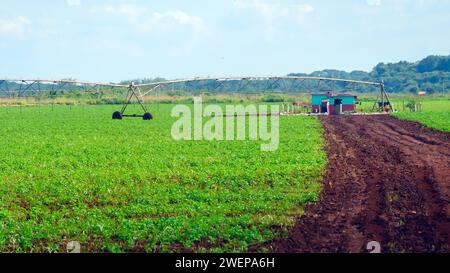 Landwirtschaftsbetrieb mit Bewässerungssystem, matanzas, kuba Stockfoto