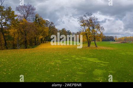 Herbstlandschaft mit grünem Rasen bedeckt mit gefallenen Blättern von Bäumen auf wolkenbewölktem Himmel Hintergrund. Stockfoto