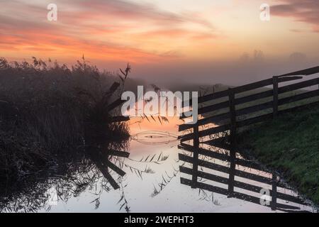 Hölzerne Zäune am Wasserrand. Genießen Sie einen wunderschönen nebeligen Sonnenaufgang im Kruiszwin Naturschutzgebiet in Anna Paulowna, Niederlande. Landschaftsszene. Stockfoto