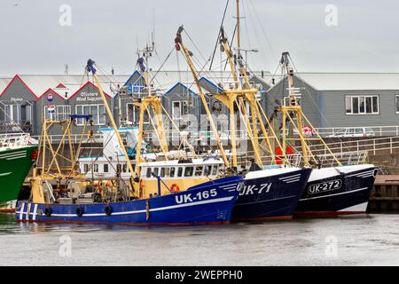 Niederländische kommerzielle Trawler-Schiffe, die im Hafen von den Helder vor Anker liegen. Niederlande - 23. Juni 2013 Stockfoto