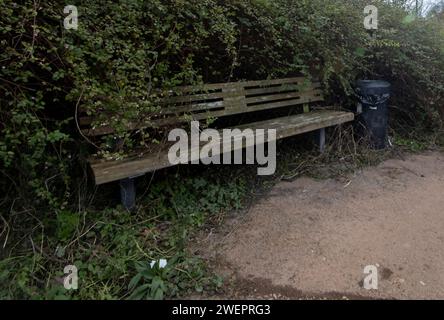 Eine öffentliche Bank, teilweise bewachsen auf einem Fußweg in Nottingham, Großbritannien Stockfoto