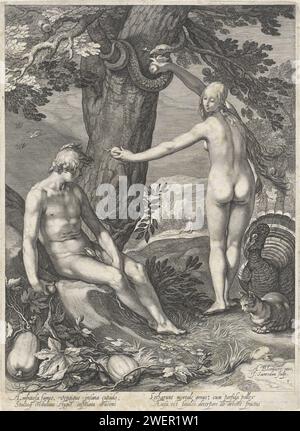 Fall, Jan Saenredam, nach Abraham Bloemaert, 1604 Druck Eva bietet Adam einen Apfel aus dem Baum der Erkenntnis von gut und Böse an. Um den Stamm des Baumes herum befindet sich eine zerknitterte Schlange, die Eva einen weiteren Apfel liefert. Im Hintergrund wird Eva von der Schlange verführt. Die Papiergravur Eva bietet Adam gleichzeitig etwas von der Frucht und nimmt ein paar mehr von der Schlange (oder dem Baum). walker- und Laufvögel: truthahn. Kat. Die Schlange versucht, Eve davon zu überzeugen, etwas von der Frucht zu nehmen (in der Regel einen Apfel) Stockfoto