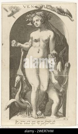 Venus, Nicolaas Braeu, nach Karel van Mander (I), drucken 1598 ein Bild der Göttin der Liebe Venus mit ihrem Gefährten Amor in einer Nische. Neben ihnen zwei Schwäne, die normalerweise den Karren der Venus ziehen. An der Wand Schildkröte und brennendes Haar als Symbole für Liebe und eine Muschel, die uns an die Geburt der Venus aus dem Meer erinnert. Eine lateinische Unterschrift unter der Vorstellung. Papierstich (Geschichte von) Venus (Aphrodite) Stockfoto