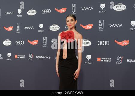 Lola Lolita nahm am 26. Januar 2024 am Roten Teppich der Feroz Awards 2024 in der Palacio Vistalegre Arena in Madrid Teil. Stockfoto