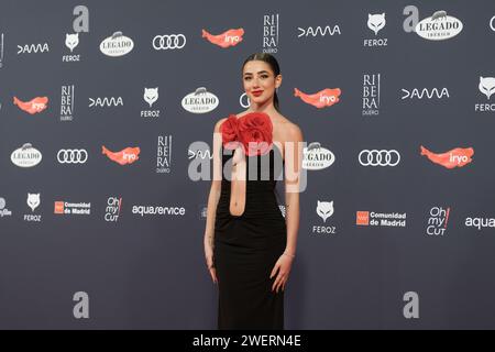 Madrid, Spanien. Januar 2024. Lola Lolita nahm am 26. Januar 2024 am Roten Teppich der Feroz Awards 2024 in der Palacio Vistalegre Arena in Madrid Teil. (Foto: Oscar Gonzalez/SIPA USA) (Foto: Oscar Gonzalez/SIPA USA) Credit: SIPA USA/Alamy Live News Stockfoto