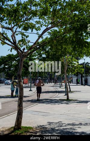 Ein abgelegener Radweg zwischen grünen Vegetationsbäumen auf dem großen Bürgersteig im Norden des Maracana-Stadions in der Rei Pele Avenue unter blauem Himmel. Stockfoto