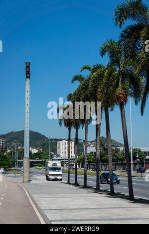 Eine Reihe von Palmen auf dem breiten Bürgersteig in der Rei Pele Avenue, auf der Nordseite des Maracana Stadions im Maracana Viertel unter dem blauen Himmel des Sommermorgen. Stockfoto