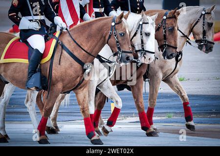 Ein US Marine Corps Color Guard und Pferde bei einer Zeremonie in Südkalifornien. Stockfoto