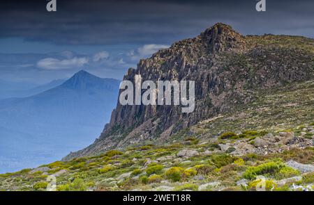 The Watcher Mountain Peak, Mount Field West, Mount Field National Park, Tasmanien, Australien Stockfoto