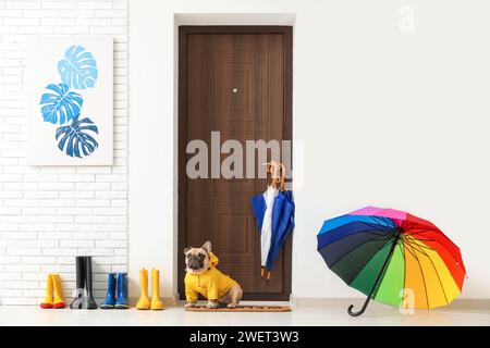 Süße französische Bulldogge mit Regenmantel in der Nähe der Tür im Flur Stockfoto