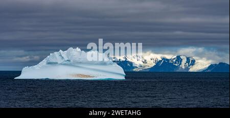 Riesiger Eisberg mit Pinguinen, die im Wasser in der Nähe der Elefanteninsel in der Antarktis schwimmen. Stockfoto