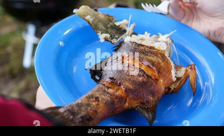 Nahaufnahme eines gerösteten Fisches auf blauer Plastikplatte. Camping Essen. Stockfoto