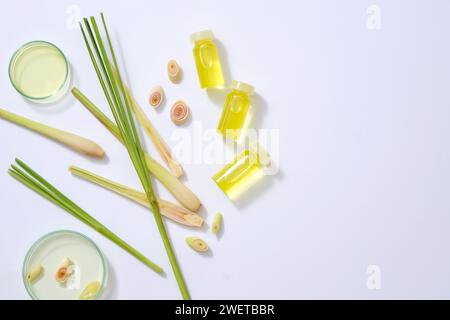 Rahmen mit frischem Zitronengras, Flaschen und Petrischale mit ätherischen Ölen auf weißem Hintergrund. Werbefoto für Kosmetika oder Zitronen-Produkte Stockfoto