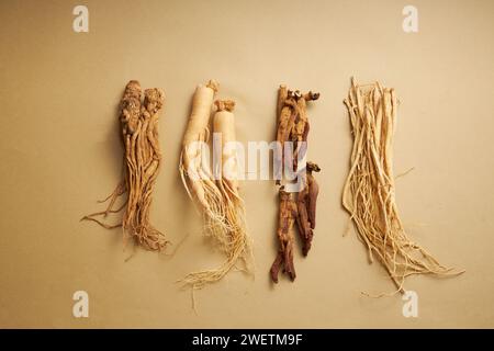 Szenen von 4 verschiedenen Arten von Ginseng auf braunem Hintergrund, in der Reihenfolge von links nach rechts, sind: angelica sinensis, Ginseng-Wurzel, rote Ginseng-Wurzel und Kabeljau Stockfoto