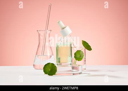 Mockup-Szene für die Kosmetik von gotu-Kola-Extrakt mit Laborkonzept. Serumflasche ohne Etikett auf transparentem Podium, frische gotu-Kola-Blätter auf BE Stockfoto