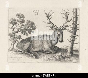 Liegender Hirsch, rechts, Wenzelaus Hollar, nach Albrecht Dürer, 1649 Druckpapier, das Huftiere graviert: Hirsch Stockfoto