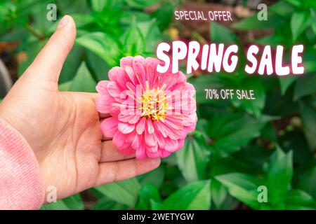 FRÜHLINGSANGEBOT auf hellgrünem Hintergrund. Eine schöne Blume, der Anfang des Frühlings Stockfoto