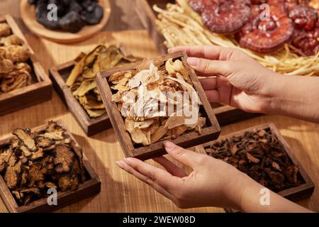 Die weibliche Hand hält ein Holztablett mit Rhizoma Atractylodis macrocephalae. Verschwommener Hintergrund mit traditionellen chinesischen Kräutern. Stockfoto