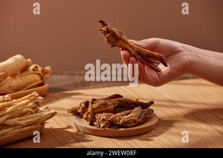 Vorderansicht einer weiblichen Hand, die eine rote Ginsengwurzel aufnimmt. Dies gilt als ein seltenes und traditionelles Arzneimittel, das antioxidative Wirkungen hat und die i-Konzentration steigert Stockfoto