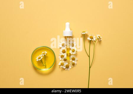 Frische Gänseblüten, Fieber, Petrischale und Röhrchen mit ihrer Essenz, die antioxidative Eigenschaften haben, auf hellorangem Hintergrund. Draufsicht auf c Stockfoto