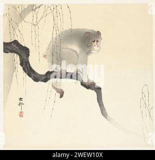 AAP OP Boomtak, Ohara Koson, 1900 - 1930 Monkey auf Baumzweig mit überhängenden Kätzchen drucken. Papierfarbe Holzschnittaffen, Affen Stockfoto