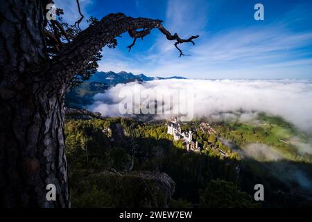 Aus der Vogelperspektive auf Schloss Neuschwanstein und umliegende Alpenlandschaft im Herbst. Stockfoto