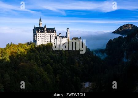 Die Burg Neuschwanstein, von der Marienbrücke aus gesehen, bei Sonnenaufgang im Herbst, erhebt sich aus dem Nebel. Stockfoto