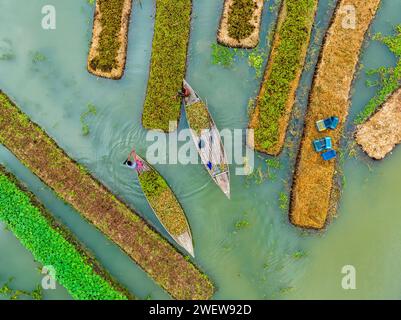 Blick aus der Vogelperspektive auf den traditionellen schwimmenden Garten und Bauern kultivieren Gemüse und navigieren durch die Kanäle zwischen dem Boot in Pirojpur, Barisal, Bangladesch. Stockfoto