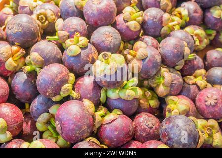 Mangostanfrüchte stehen im Supermarkt Stockfoto