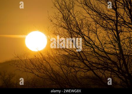 Wintersonnenaufgänge, große Sonne, Sonnenaufgang im Gras Stockfoto