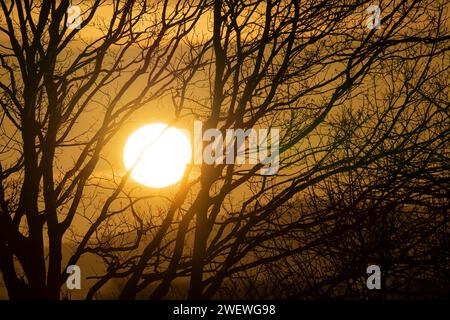 Wintersonnenaufgänge, große Sonne, Sonnenaufgang im Gras Stockfoto