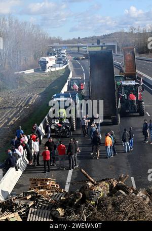 Toulouse, Frankreich. Januar 2024. © PHOTOPQR/LA DEPECHE DU MIDI/MICHEL VIALA ; Toulouse ; 24/01/2024 ; DDM-MICHEL VIALA LES AGRICULTEURS EN COLERE BLOQUENT L'ECHANGEUR DE L'AUTOROUTE A 61 A VILLEFRANCHE DE LAURAGAIS AUTOBAHN A61; 25.01.2024; Landwirte demonstrieren durch Sperrung der AUTOBAHN A51 Credit: MAXPPP/Alamy Live News Stockfoto