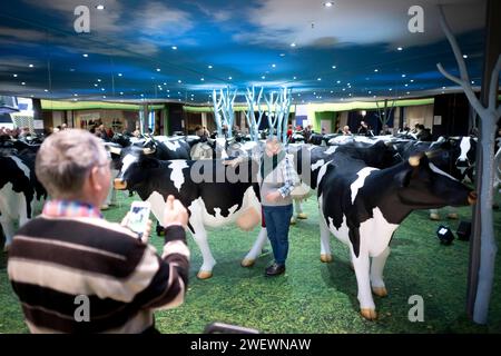 Gruene Woche Berlin DEU, Deutschland, Berlin, 23.01.2024 Besucher fotografieren sich und eine Kuh aus Plastik zum Thema Nachhaltigkeit und oekologische Landwirtschaft in der Halle vom Bundesministerium für Ernaehrung und Landwirtschaft BMEL auf der Messe der Internationalen Gruenen Woche unter dem Motto Moege die Vielfalt mit Euch sein in Berlin Deutschland . Die Internationale Gruene Woche Berlin ist eine internationale Verbrauchermesse und Ausstellung der Ernaehrungswirtschaft, Landwirtschaft, Gartenbau und für landwirtschaftliche Produkte aus aller Welt. Grüne Woche en: Besucher Stockfoto