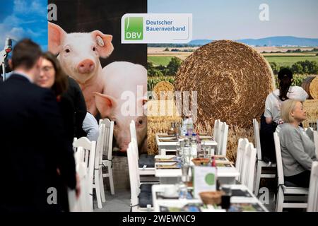 Gruene Woche Berlin DEU, Deutschland, Berlin, 23.01.2024 Besucher vor Logo DBV Deutscher Bauernverband auf der Messe der Internationalen Gruenen Woche unter dem Motto Moege die Vielfalt mit Euch sein in Berlin Deutschland. Die Internationale Gruene Woche Berlin ist eine internationale Verbrauchermesse und Ausstellung der Ernaehrungswirtschaft, Landwirtschaft, Gartenbau und für landwirtschaftliche Produkte aus aller Welt. Grüne Woche en: Besucher vor dem DBV Logo des Deutschen Bauernverbandes DBV Deutscher Bauernverband im Landwirtschaftsbereich der Grünen Woche, Internation Stockfoto