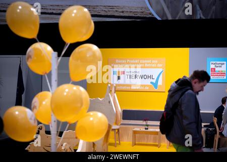 Gruene Woche Berlin DEU, Deutschland, Berlin, 23.01.2024 Besucher vor Logo Initiative Tierwohl zum Thema nachhaltige Landwirtschsft und Tierhaltung der Bundesvereinigung der Deutschen Erhaehrungsindustrie und vom Lebensmittelverband zum Thema Nachhaltigkeit auf der Messe der Internationalen Gruenen Woche unter dem Motto Moege die Vielfalt mit Euch sein in Berlin Deutschland. Die Internationale Gruene Woche Berlin ist eine internationale Verbrauchermesse und Ausstellung der Ernaehrungswirtschaft, Landwirtschaft, Gartenbau und für landwirtschaftliche Produkte aus aller Welt. Grüne Woc Stockfoto