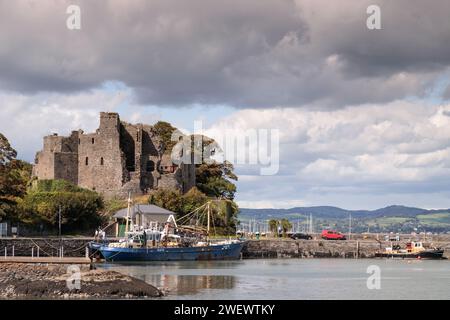 Carlingford Castle, County Louth, Irland Stockfoto