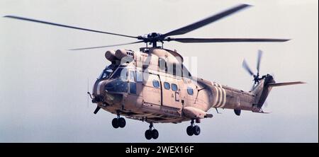 Am 4. März 1991 landet ein Hubschrauber der RAF Aérospatiale SA 330 Puma im Hauptquartier der britischen Armee in Kuwait. Stockfoto