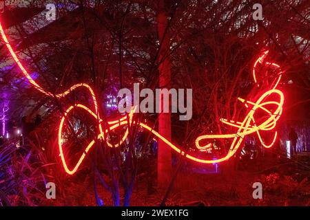 Canary Wharf Winter Lights, 26. Januar 2024, das beliebte Canary Wharf Winter Lights Festival findet vom 17. Bis 27. Januar 2024 in London statt und bietet 13 farbenfrohe Lichtinstallationen. Im Bild: Biophilie von Frankie Boyle im Crossrail Place Roof Garden Stockfoto