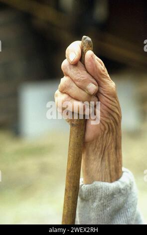 Vrancea County, Rumänien, 2002. Nahaufnahme der Hand einer älteren Frau, die einen Gehstock hält. Stockfoto