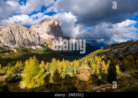 Bunte Lärchen an den Hängen rund um den Falzarego Pass im Herbst, die Felswände und der Gipfel des Berges Tofana di Rozes in der Ferne. Cortin Stockfoto