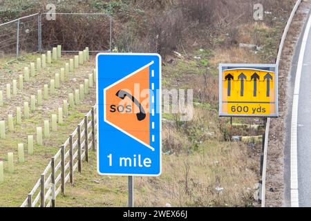Slough, Berkshire, Großbritannien. Januar 2024. Ein SOS-Telefonschild neben dem M4 Smart Motorway in Slough, Berkshire. Intelligente Autobahnsicherheitssysteme, die Fahrspurausfälle in Echtzeit erkennen und die CCTV und Schilder des Netzes steuern sollen, wurden laut der Zeitung Telegraph im vergangenen Sommer 41 Mal unerwartet abgeschaltet. Nach zahlreichen Todesfällen auf intelligenten Autobahnen wird gefordert, dass die intelligenten Autobahnen wieder mit harten Schultern belegt werden. Die Einführung neuer intelligenter Autobahnen ist derzeit ausgesetzt. Kredit: Maureen McLean/Alamy Stockfoto