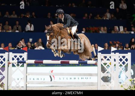 Amsterdam, Niederlande - 26. Januar 2024. Harrie Smolders aus den Niederlanden tritt in der CSI5* 1,50 m-Klasse im Springen Amsterdam an. Mark Spowart/Alamy Stockfoto